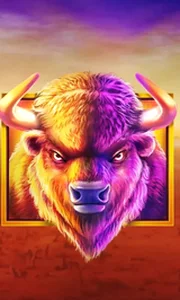 Buffalo King